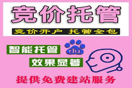 成功案例分享：托管竞价SEM优化策略